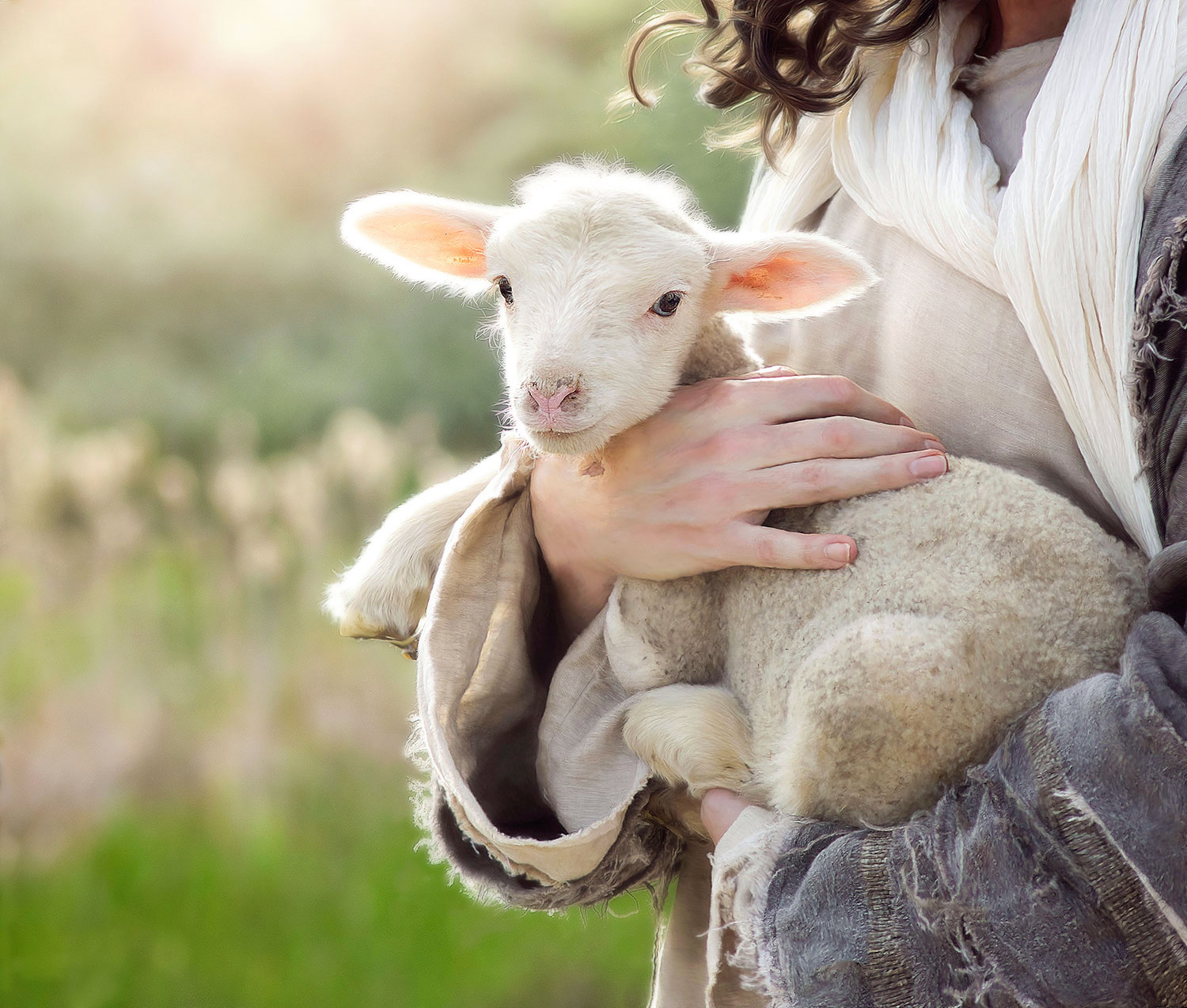 Psalm 23, What It Means For Us