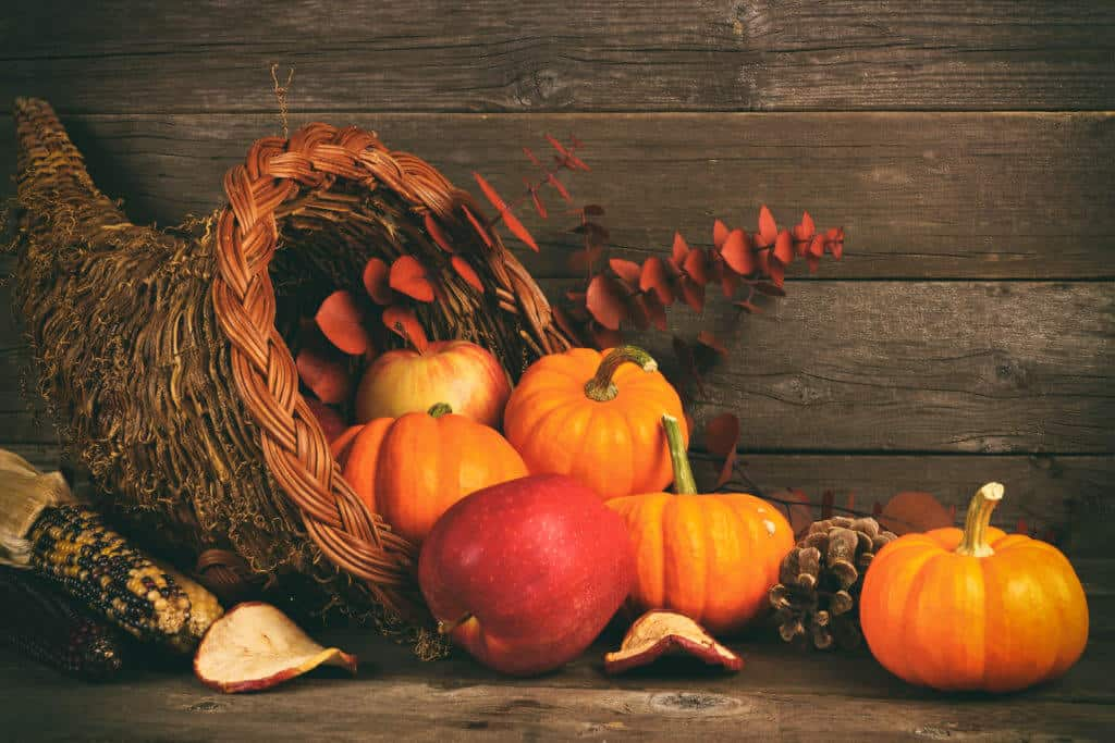 Harvest and Thanksgiving