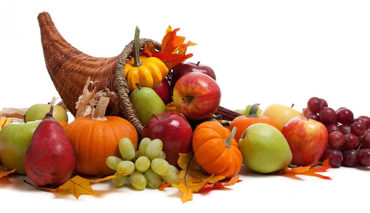 Thanksgiving Cornucopia