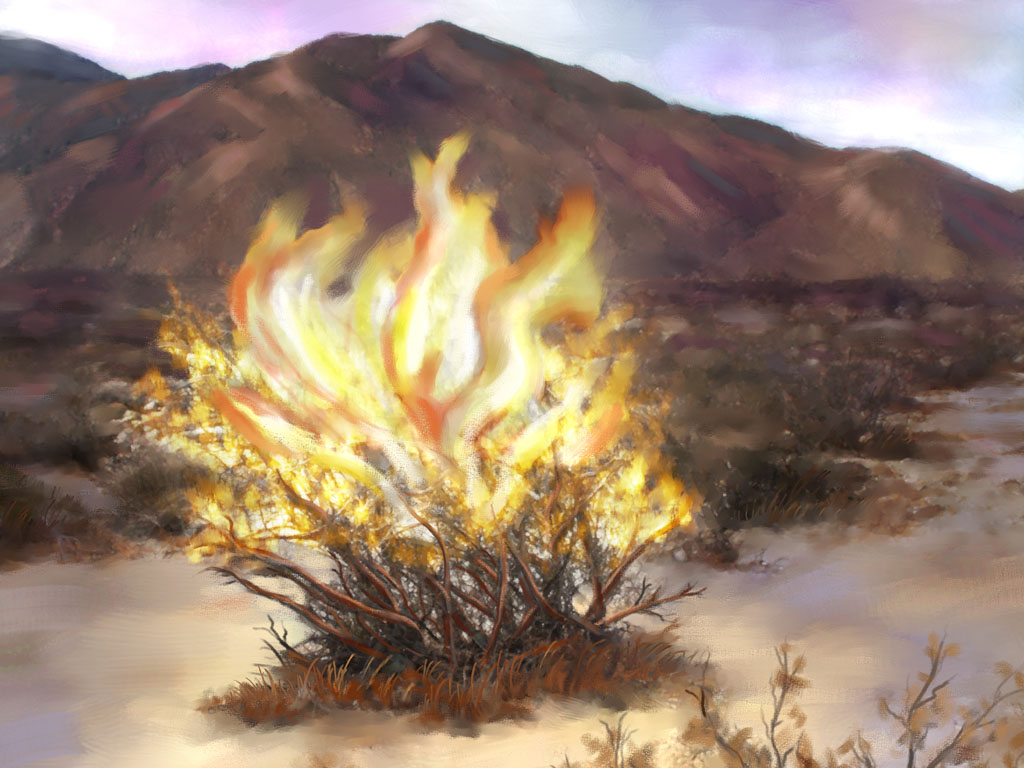 A Burning Bush